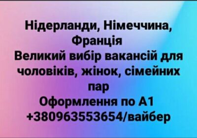 img-c0adf1b88dbaa4075fa2c184d3457934-v