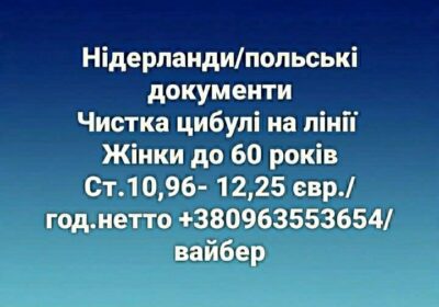 img_20260310_104437