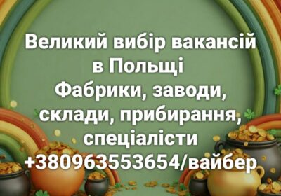 img_20260318_115939
