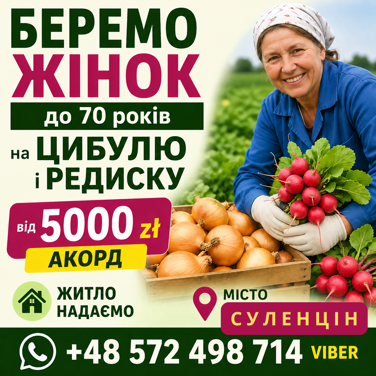 Робота в Польщі на цибулі та редисці без мови і досвіду