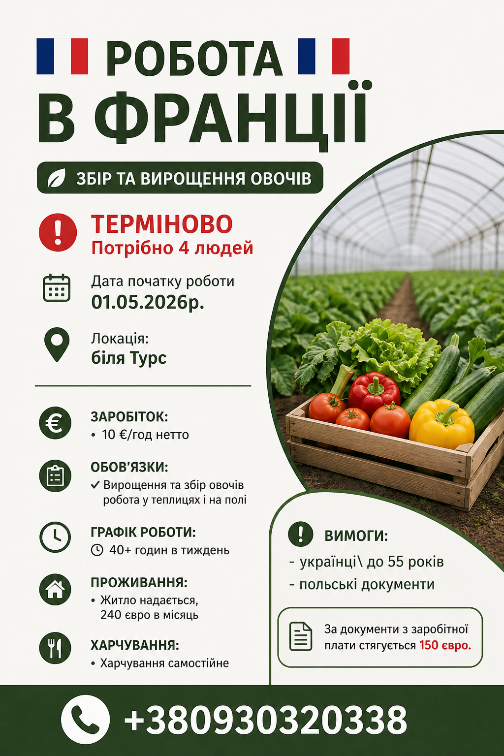 Вакансія на вирощування та збір овочів у Франції