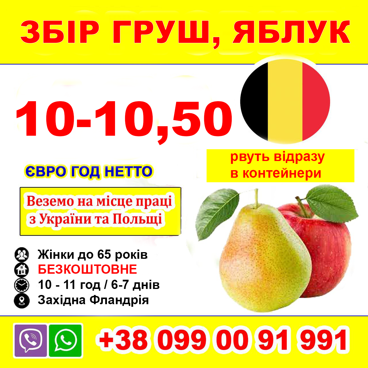 ЗБІР ГРУШ, ЯБЛУК > Веземо на Роботу