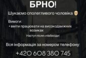 Робота в Чехії , Логістика склад