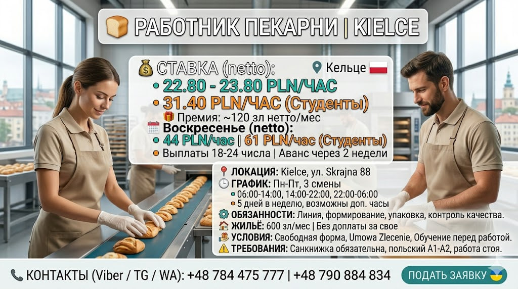 РАБОТНИК ПЕКАРНИ | KIELCE