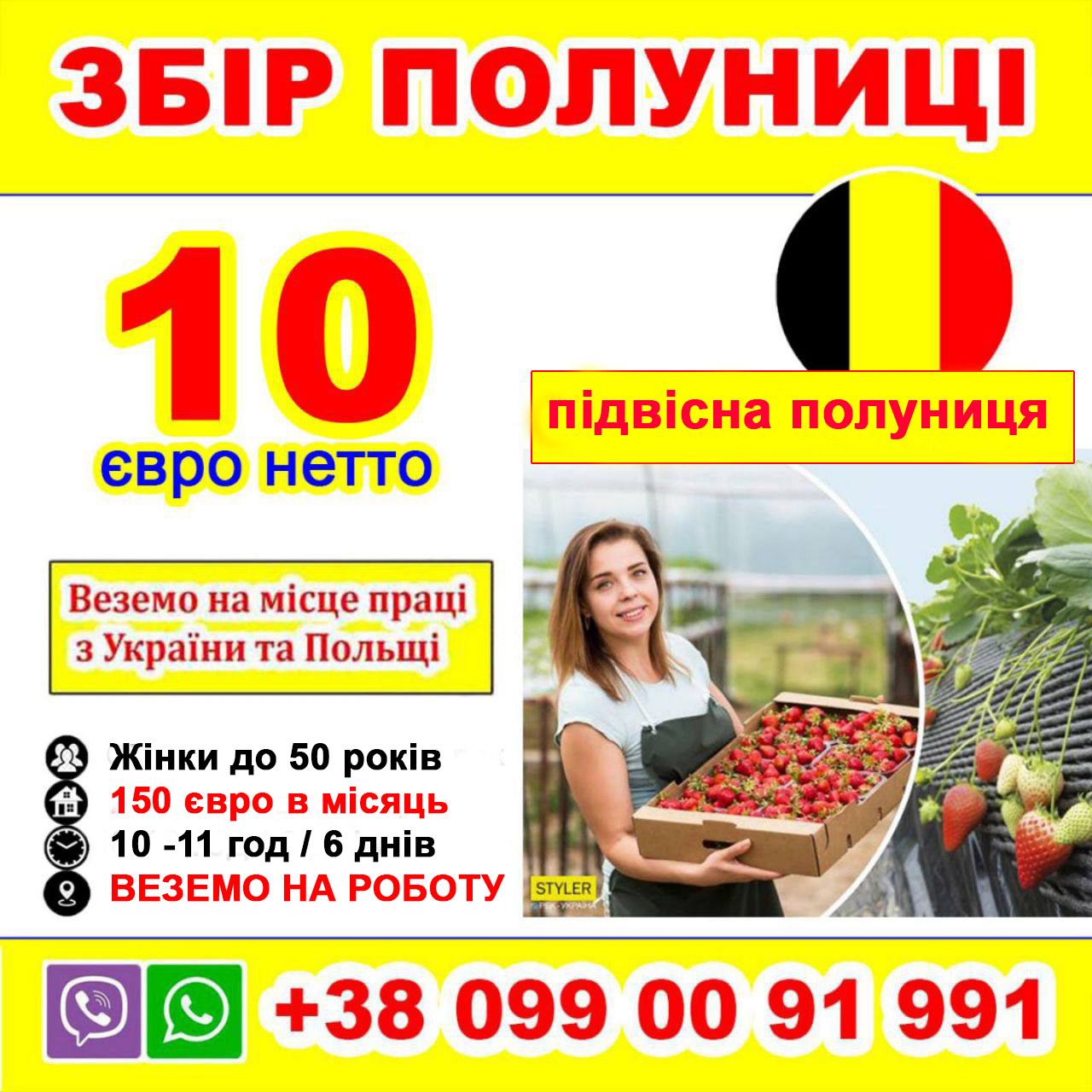 🍓🍓🍓 Збір підвісної полуниці