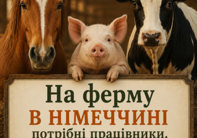 chatgpt-image-10-lyp.-2026-r.-09_58_18