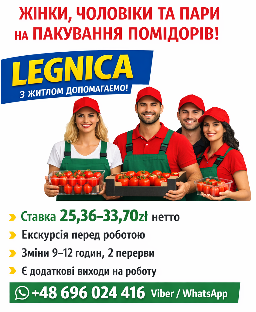 Пакування помідорів
