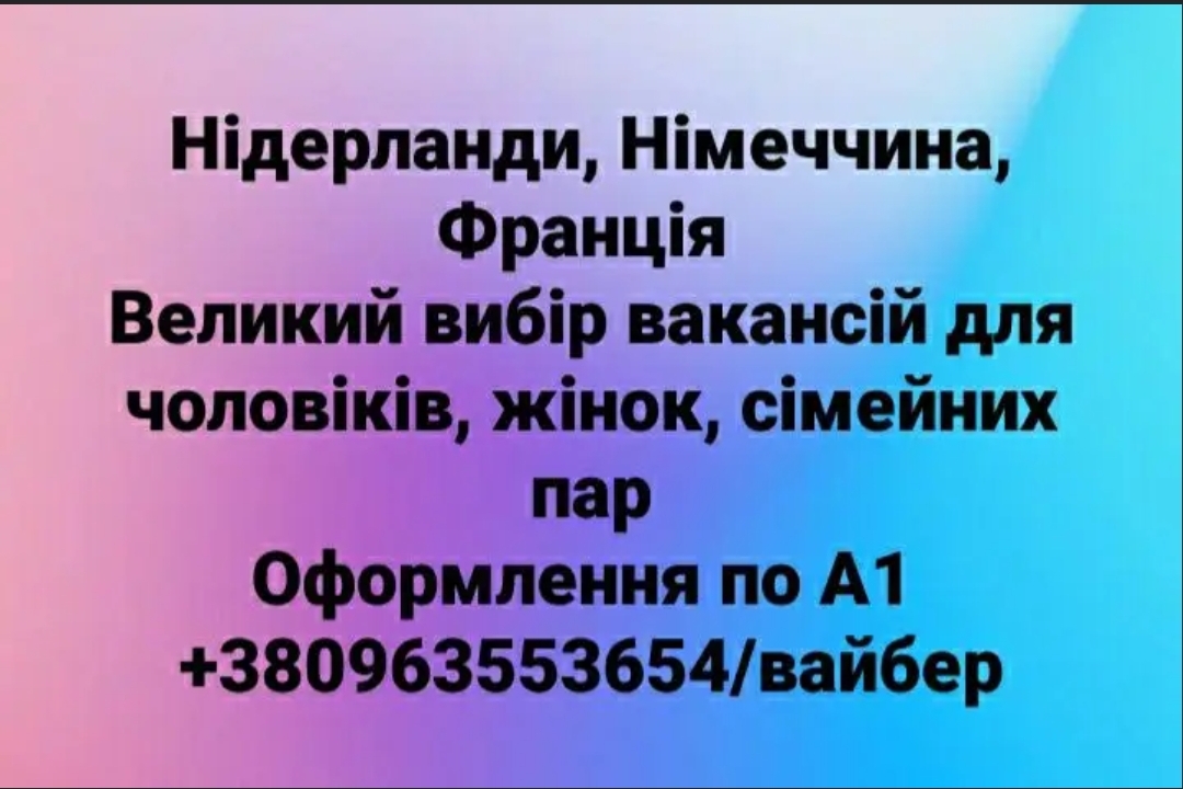 Пропонуємо вакансії в Нідерландах