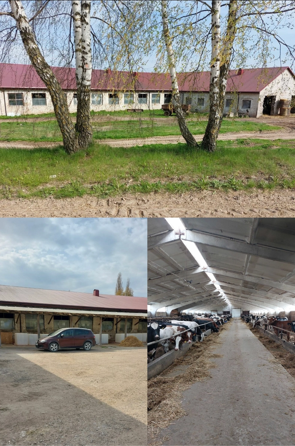 🐄 Працівник на молочну ферму