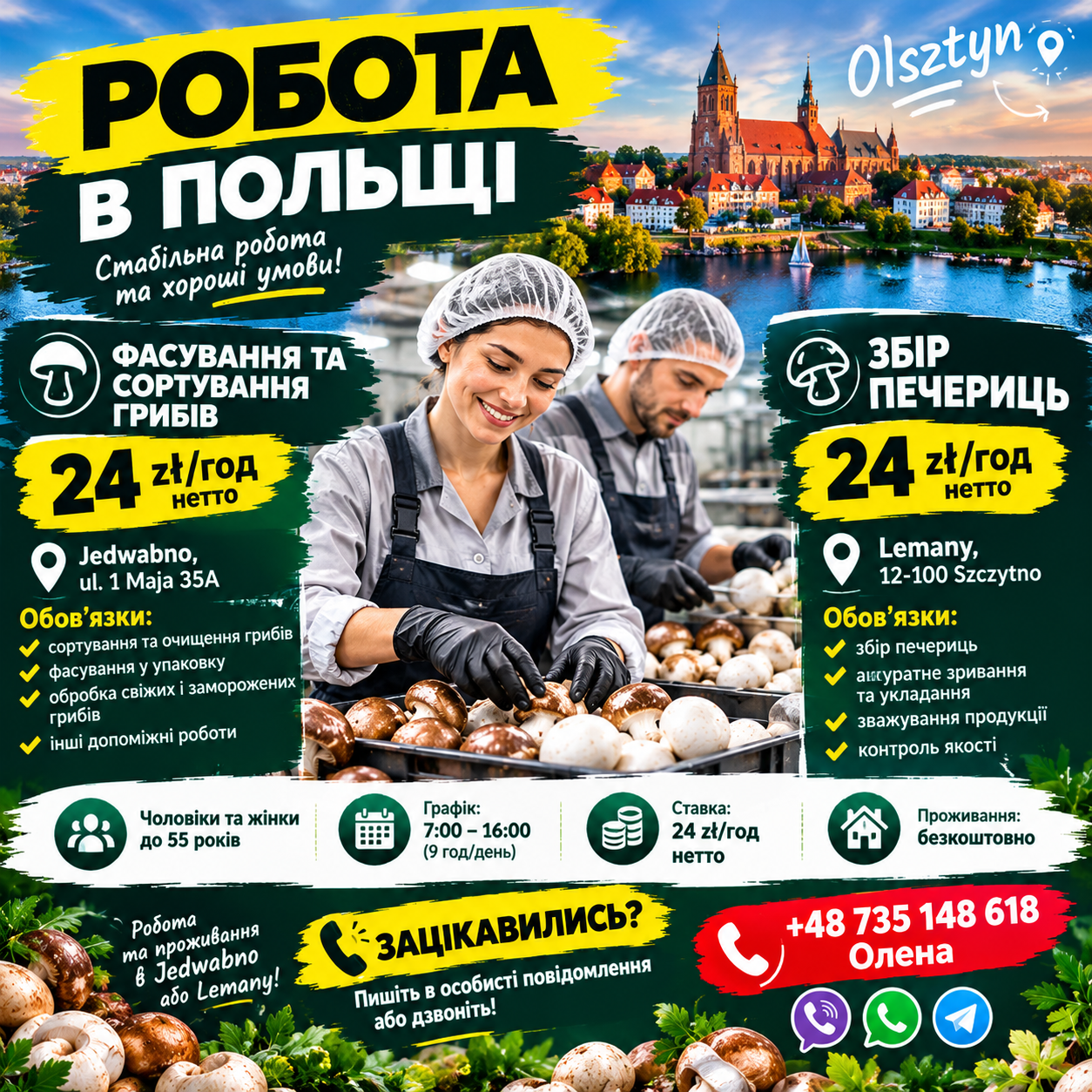 Збір і пакування грибів