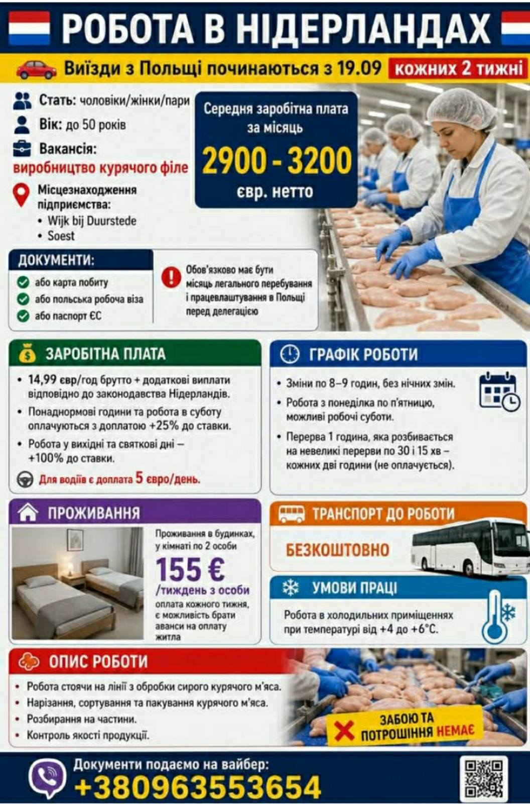 Нідерланди/куряча фабрика