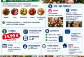 Нідерланди/ виготовлення квіткових композицій